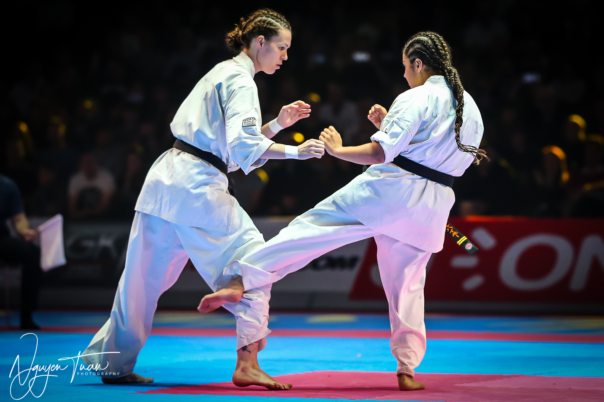 20190324 Festival des Arts Martiaux 5919